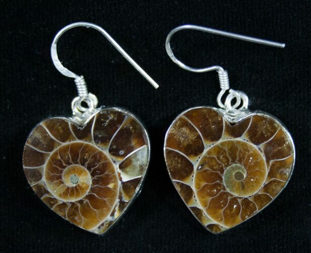 Heart Shaped Ammonite Earrings - Sterling Silver #8884